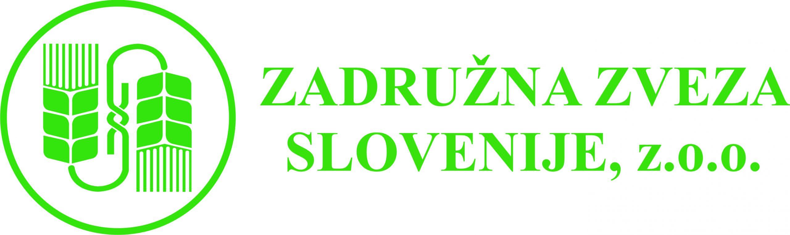 logo zzs