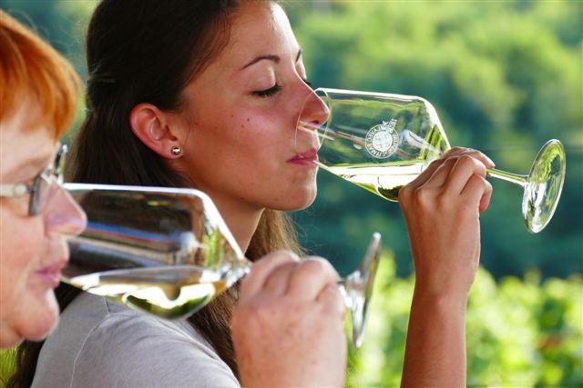 wine tasting
