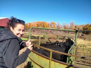 Tjaša pozira s skupino Angus bikov