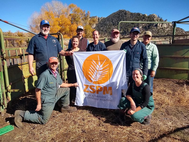 Tjašine izkušnje iz mednarodne izmenjave mladih kmetov v ZDA
