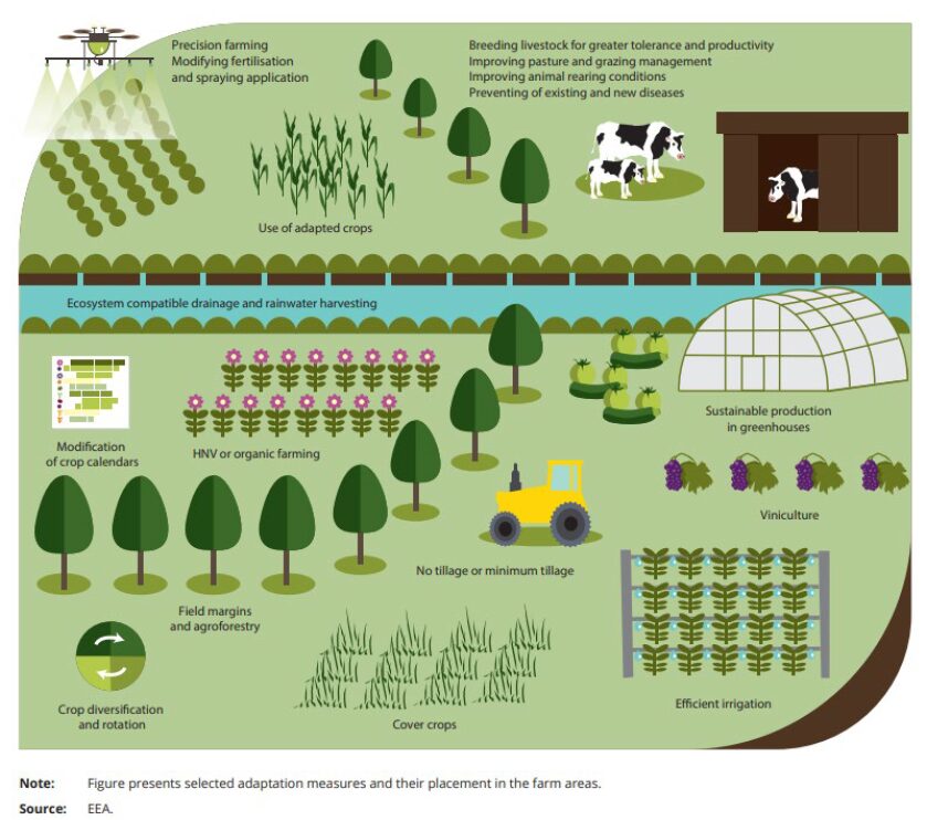 Shema pristopov naslavljanja prilagajanja na podnebne spremembe v kmetijstvu.