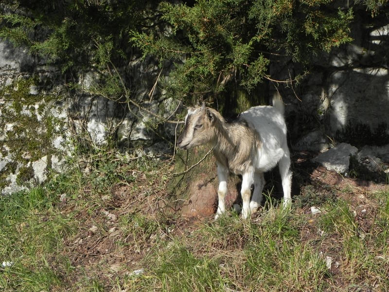 Posodobljene enotne evidence – november 2023