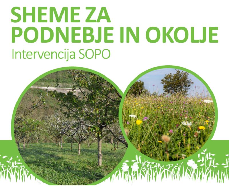 Na voljo brošure za posamezne sheme SOPO