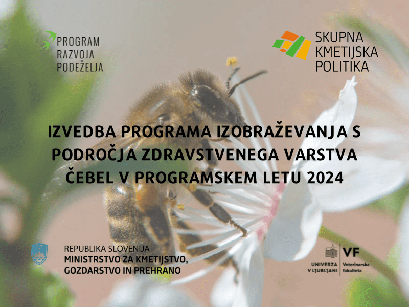 Izvedba programa izobraževanja s področja zdravstvenega varstva čebel v programskem letu 2024