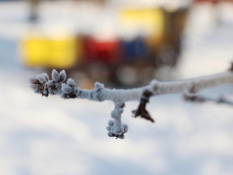 Avtor: Marjan Papež Tematska skupina o vrednotenju širšega prispevka kmetov v družbi